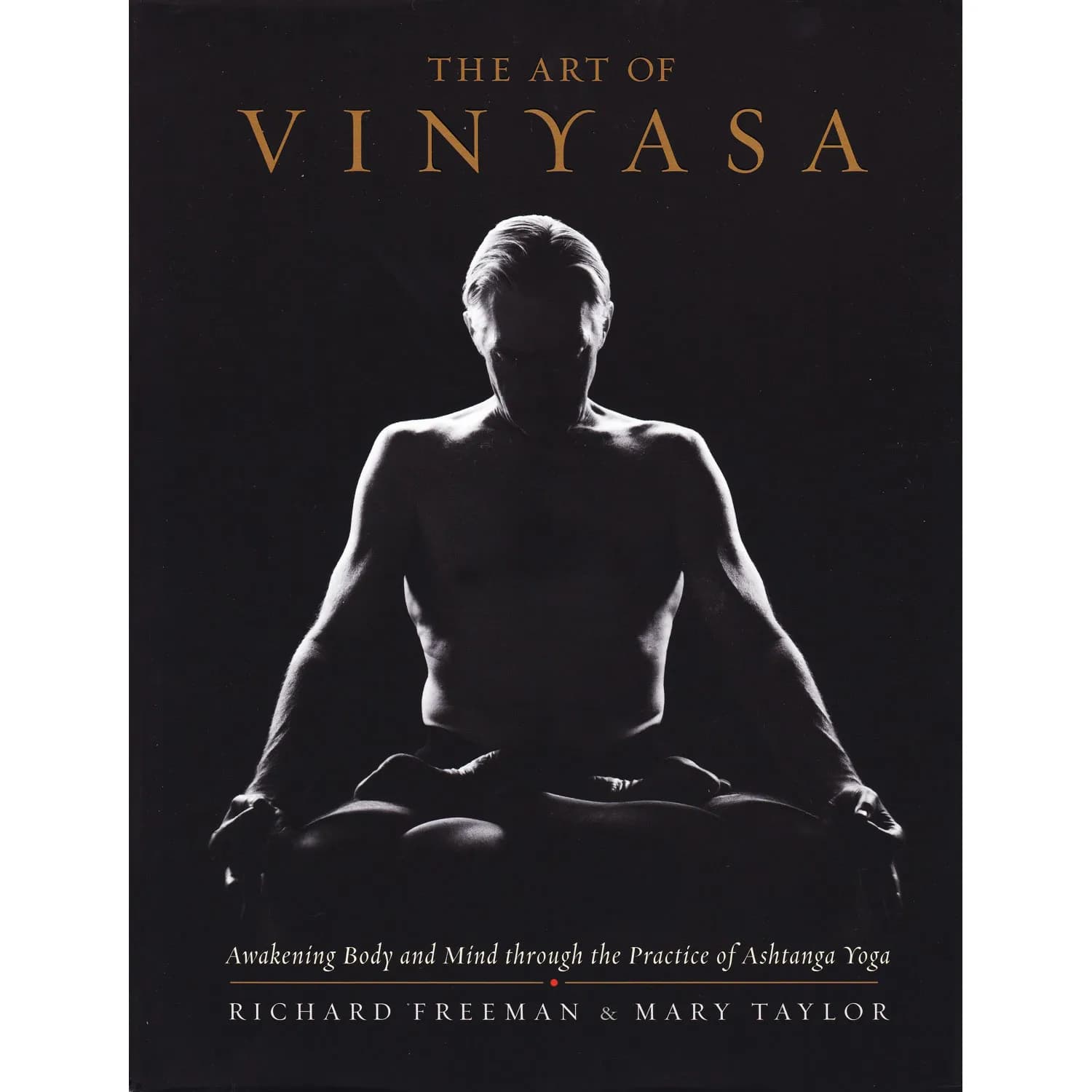 The Art of Vinyasa — cover