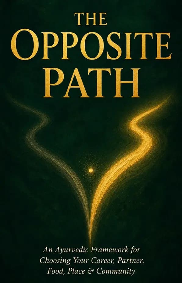 The Opposite Path — cover