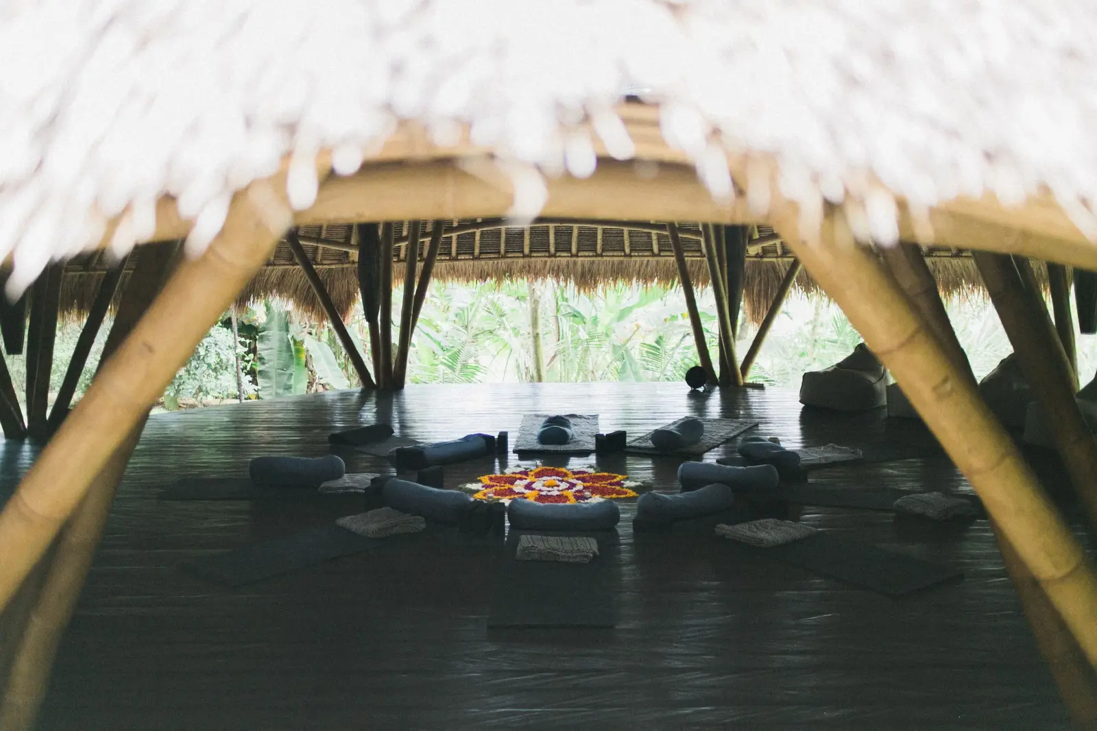 What Is an Ashram? Meaning, Purpose & Daily Life Explained