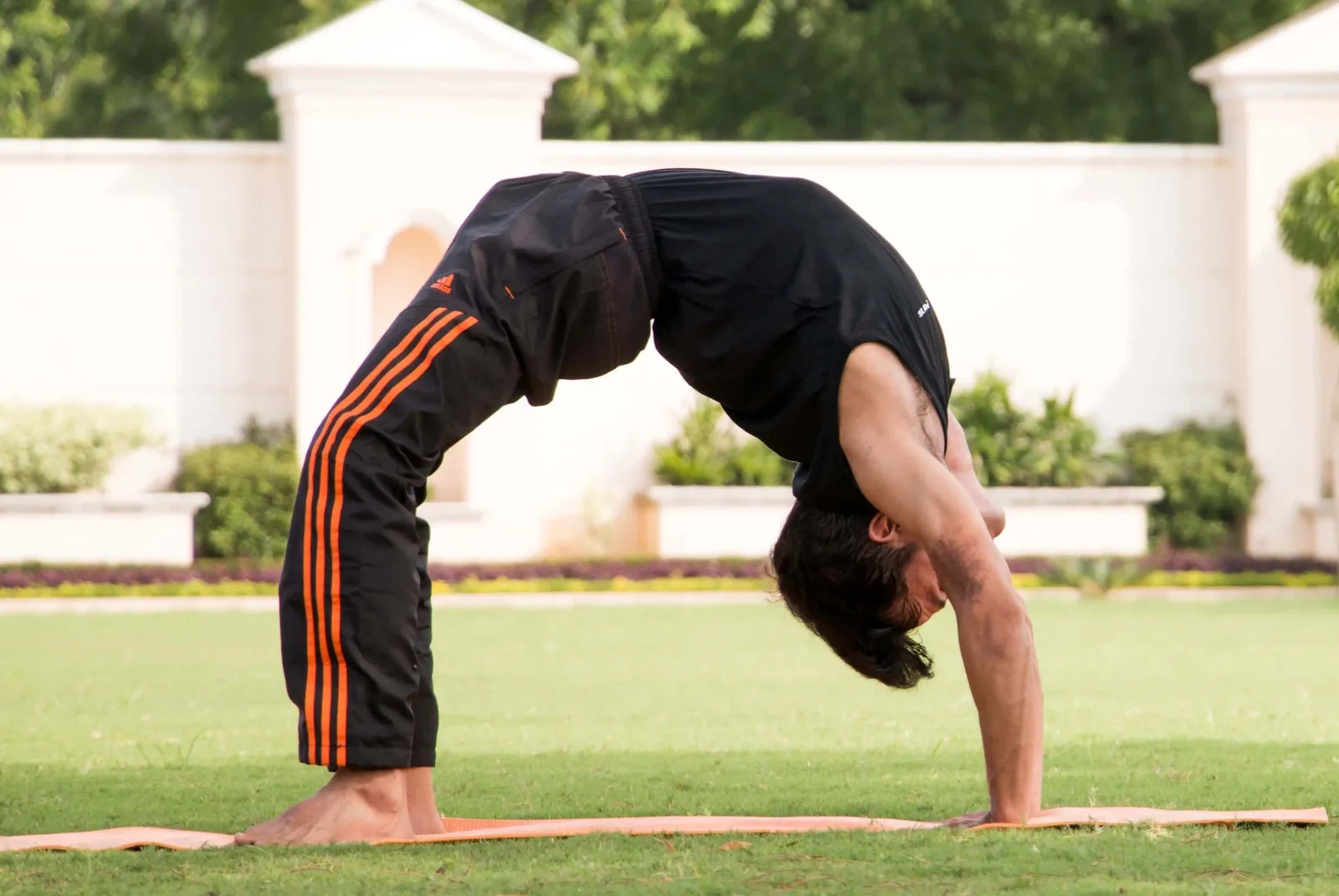 Benefits of Daily Yoga Practice: What Really Changes